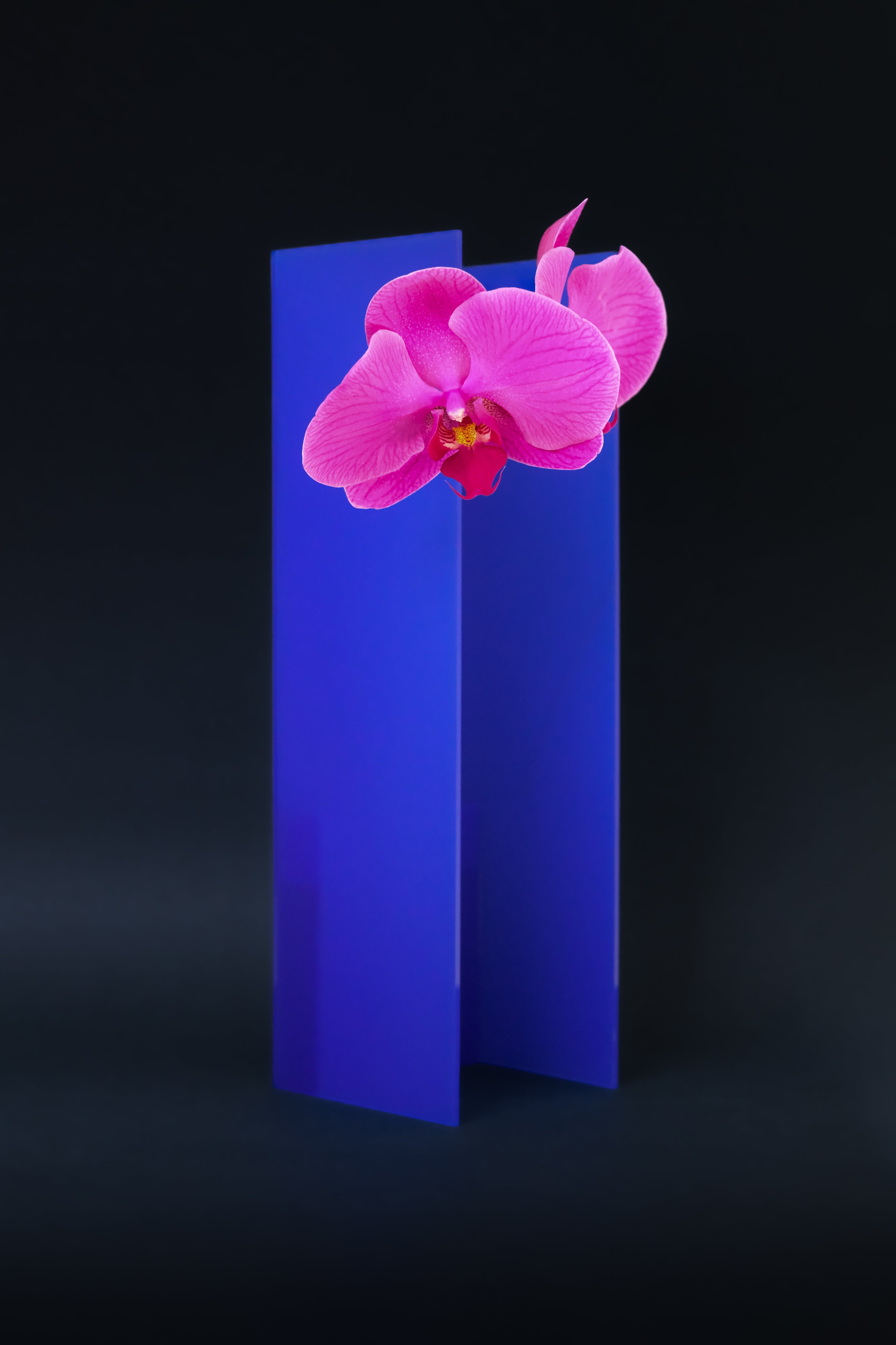 Nook Vase - Design Blue