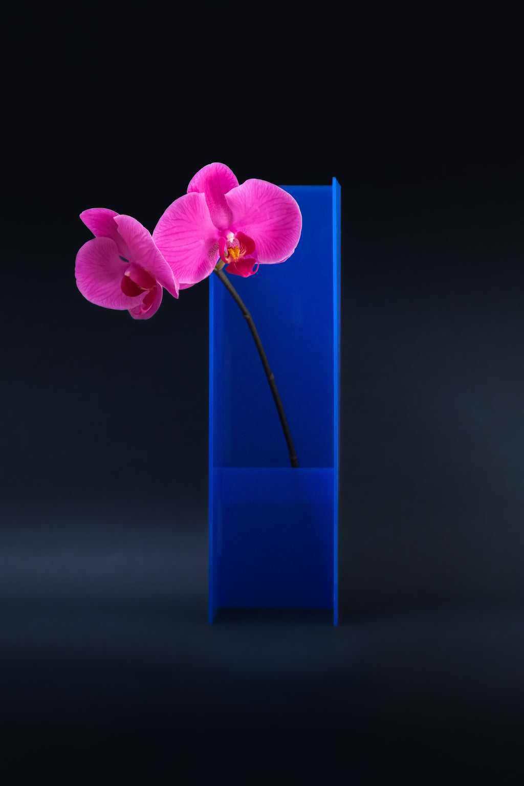 Nook Vase - Design Blue