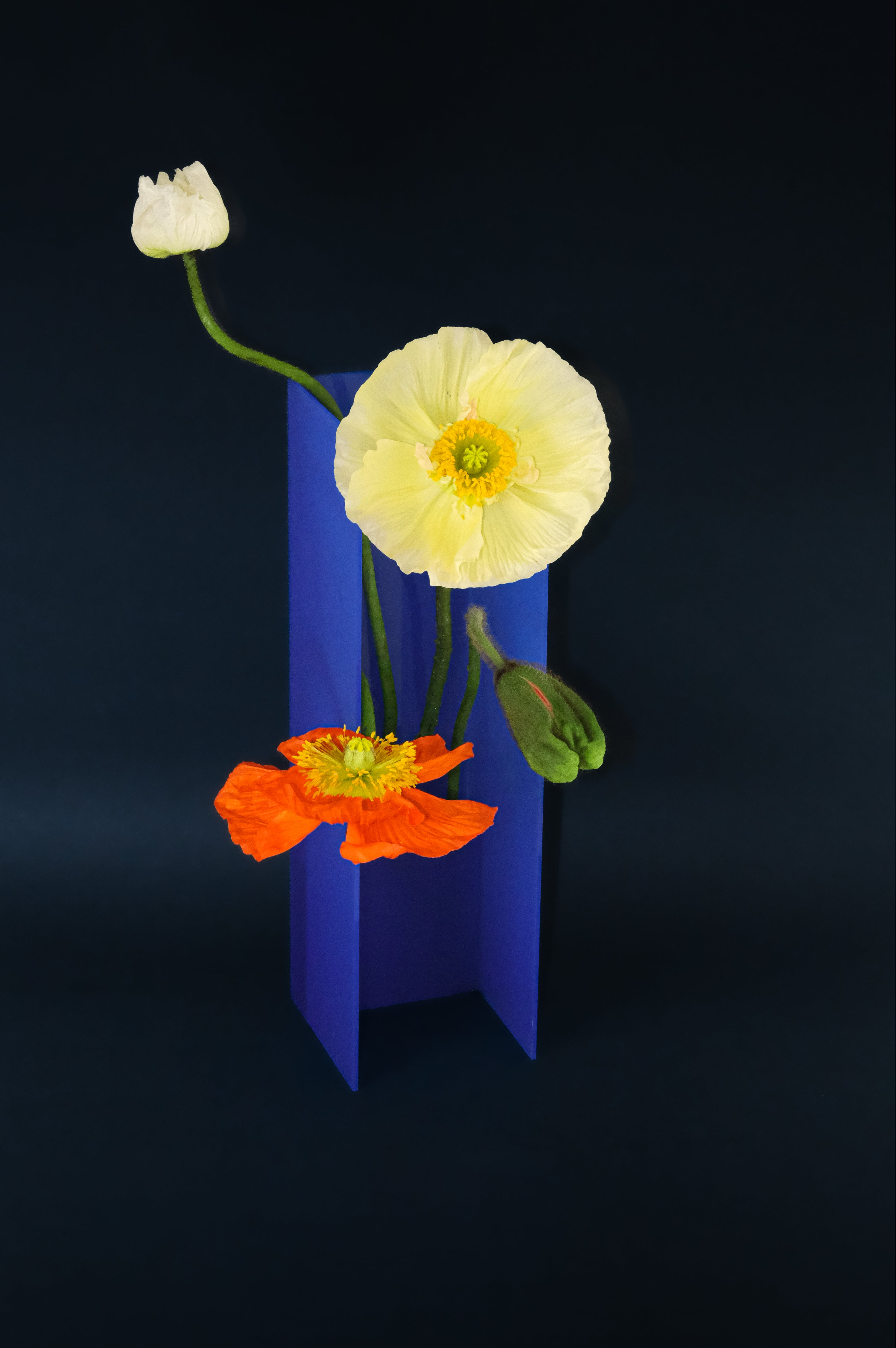 Nook Vase - Design Blue