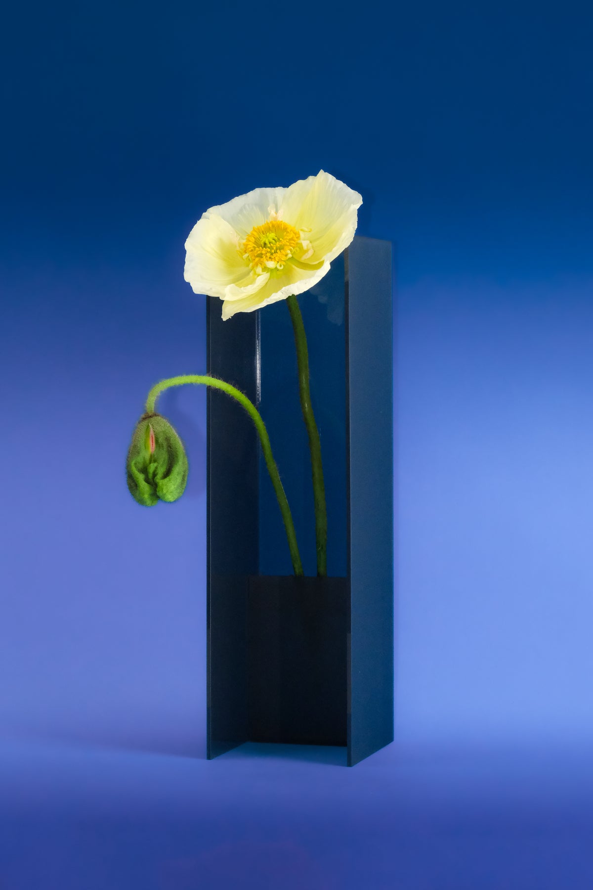 Nook Vase - Smoke – ANNAKA HOELK STUDIO