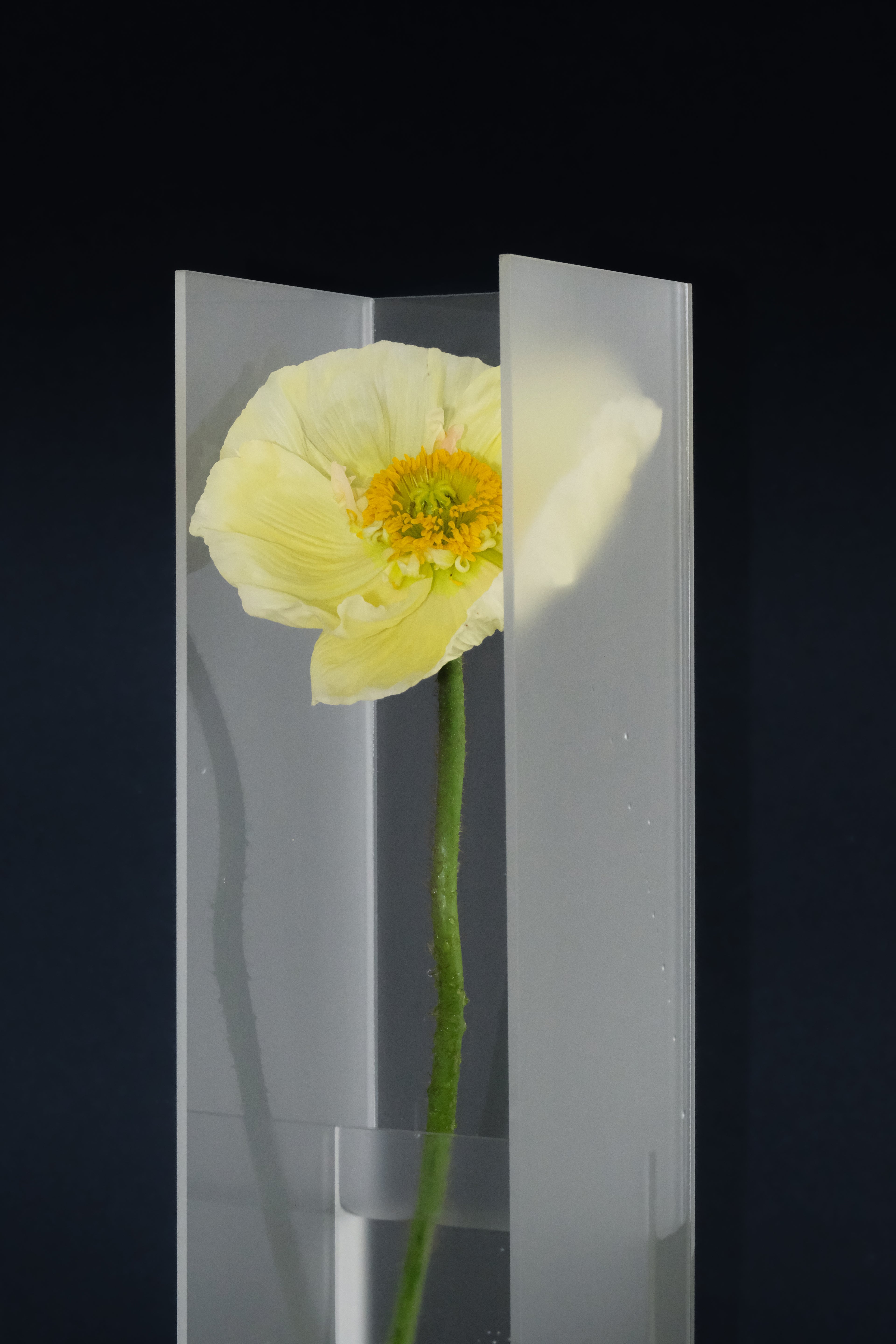 Nook Vase - Frost