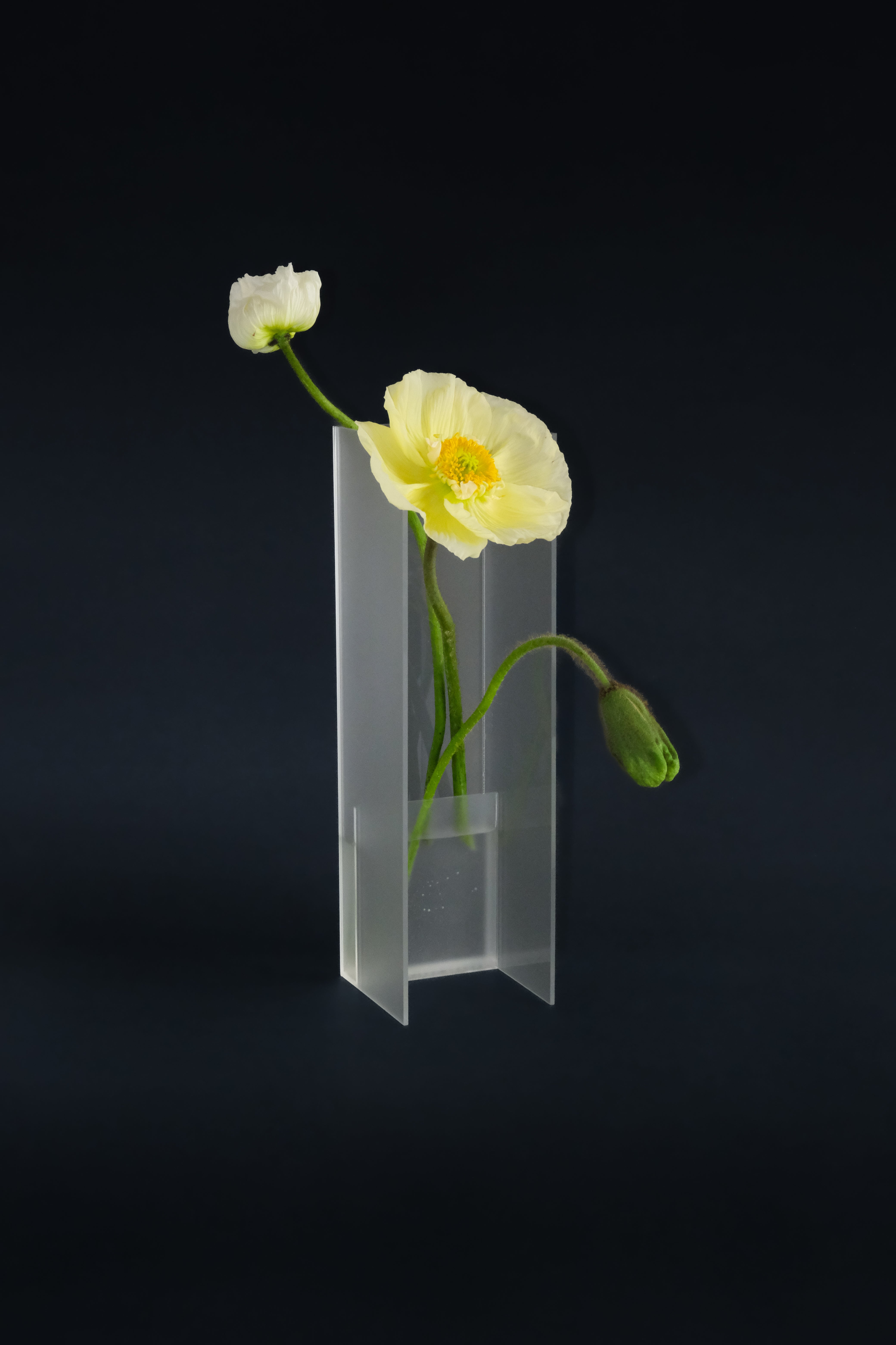 Nook Vase - Frost – ANNAKA HOELK STUDIO