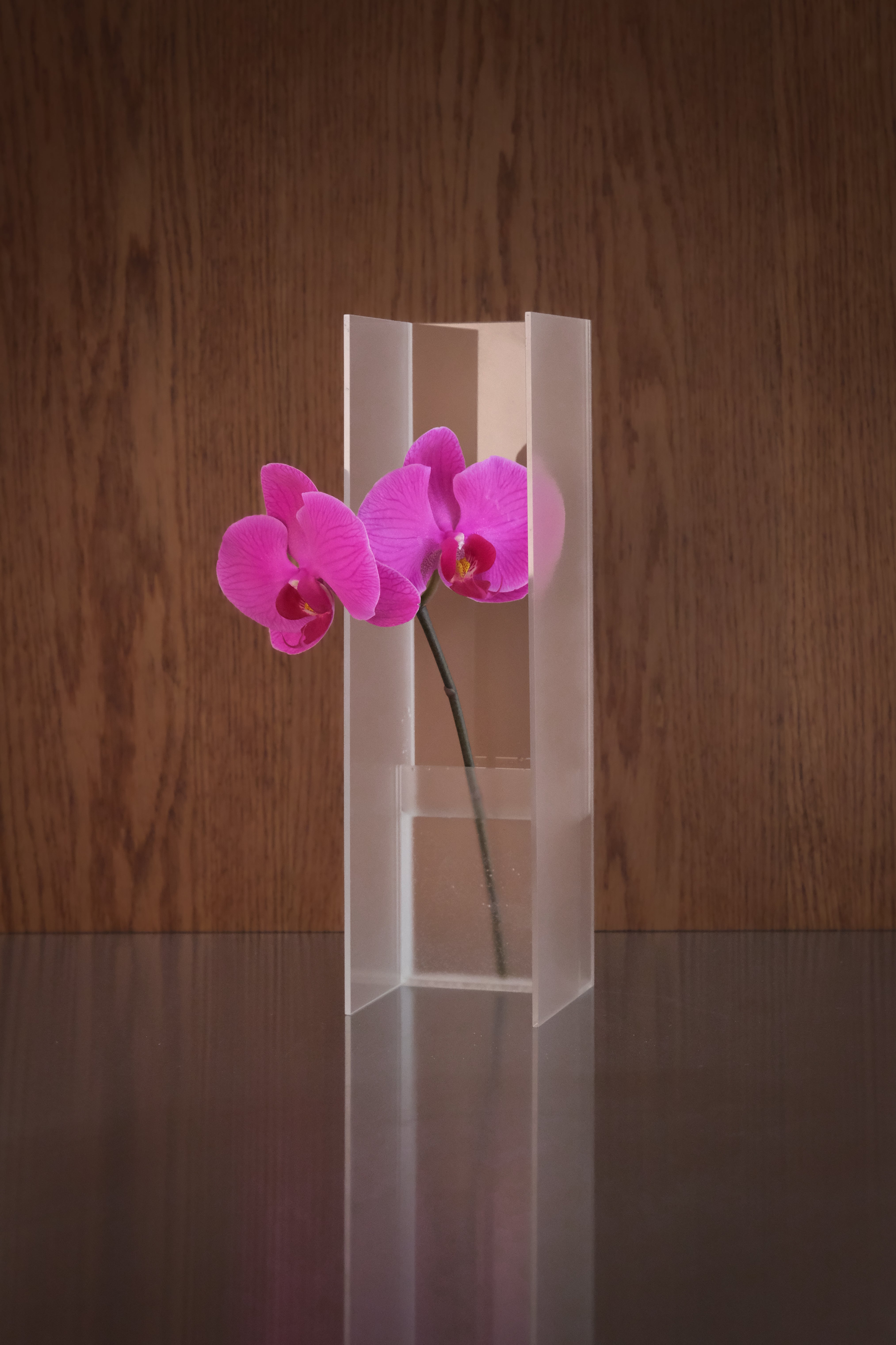 Nook Vase - Frost – ANNAKA HOELK STUDIO