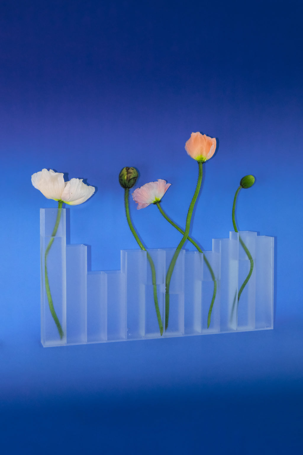 Paynes Vase
