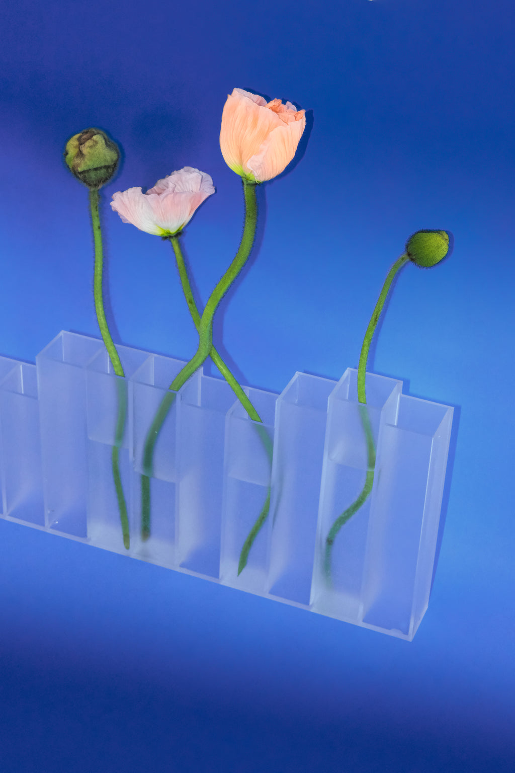 Paynes Vase