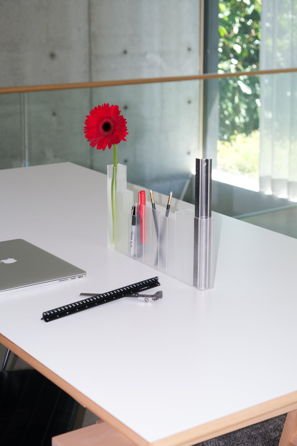 Paynes Organizer