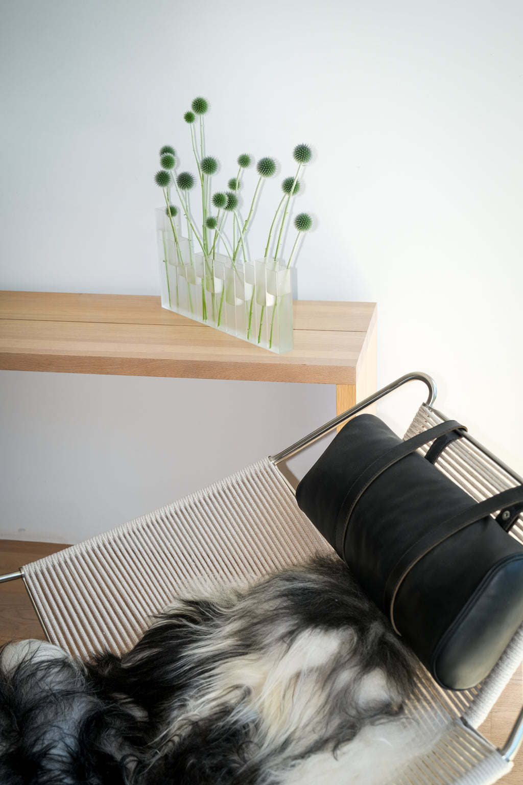 Paynes Organizer