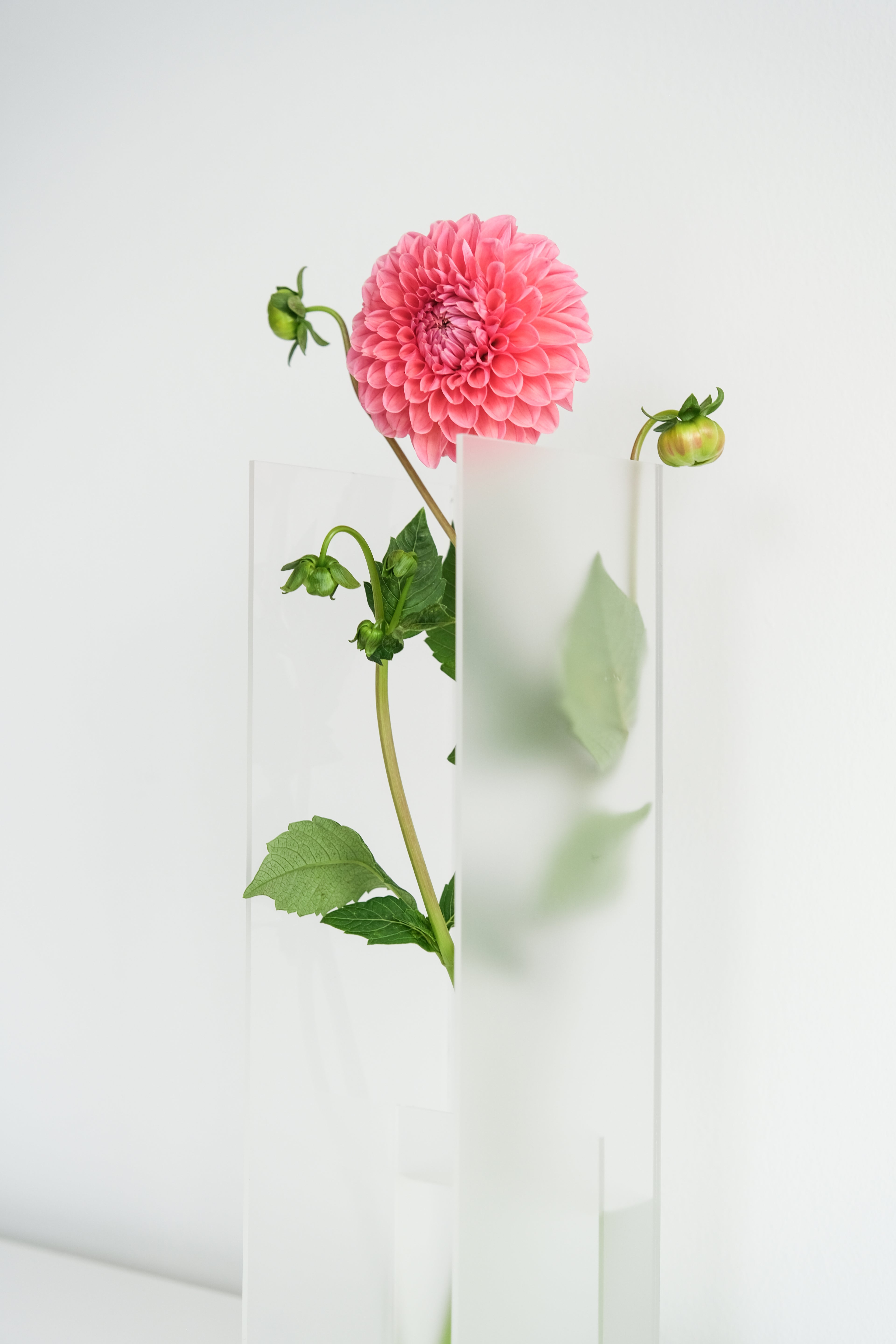 Nook Vase - Frost