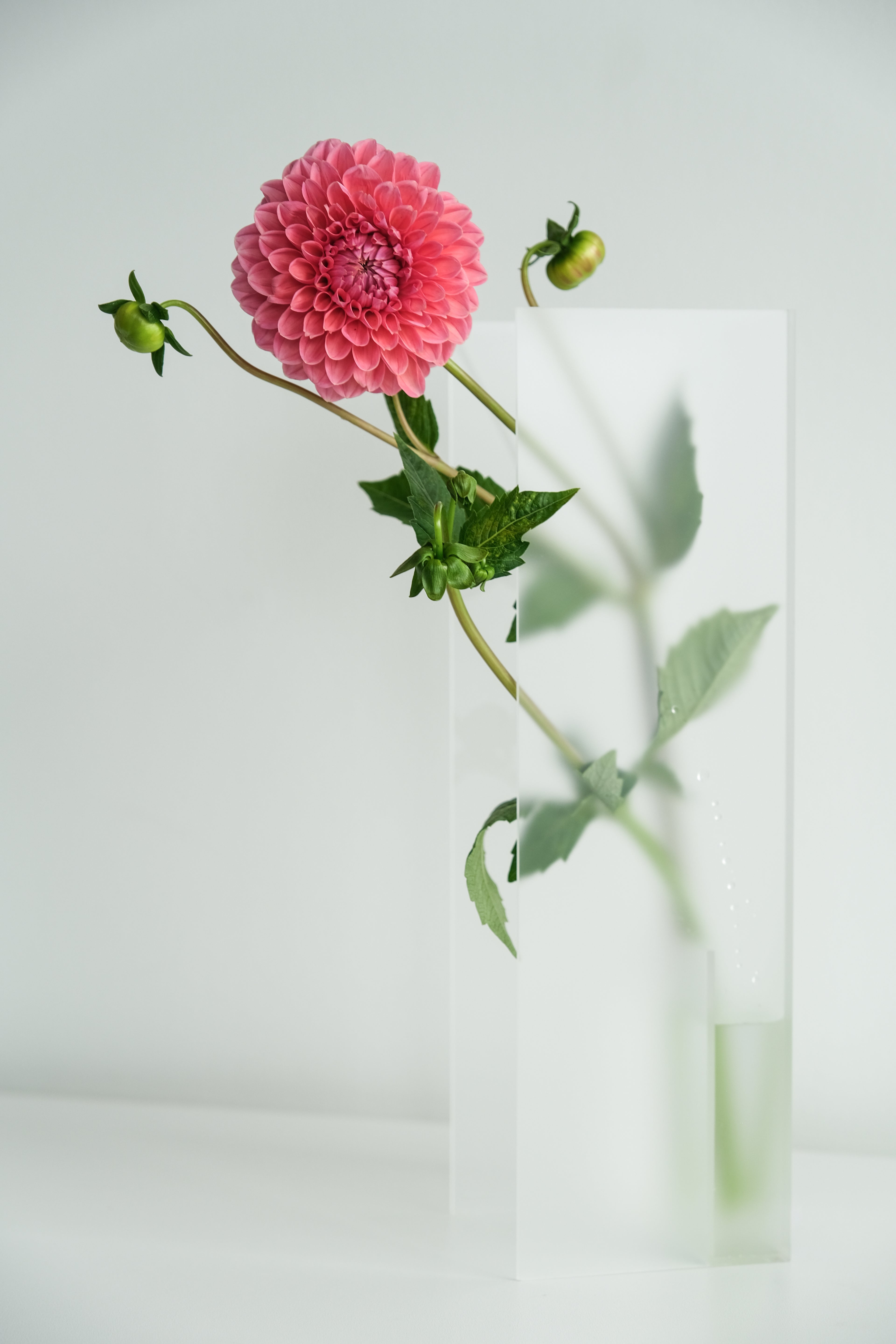 Nook Vase - Frost