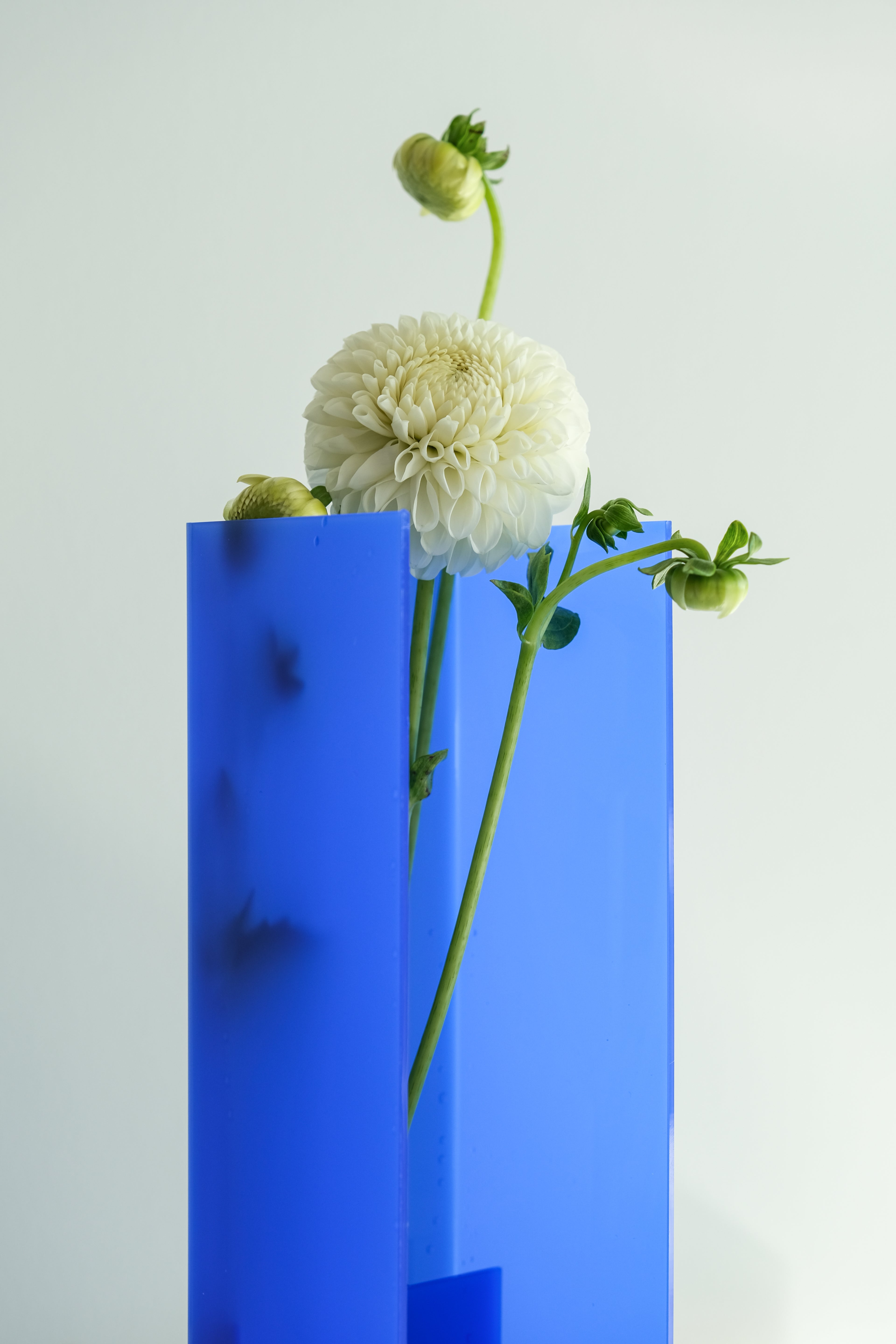 Nook Vase - Design Blue