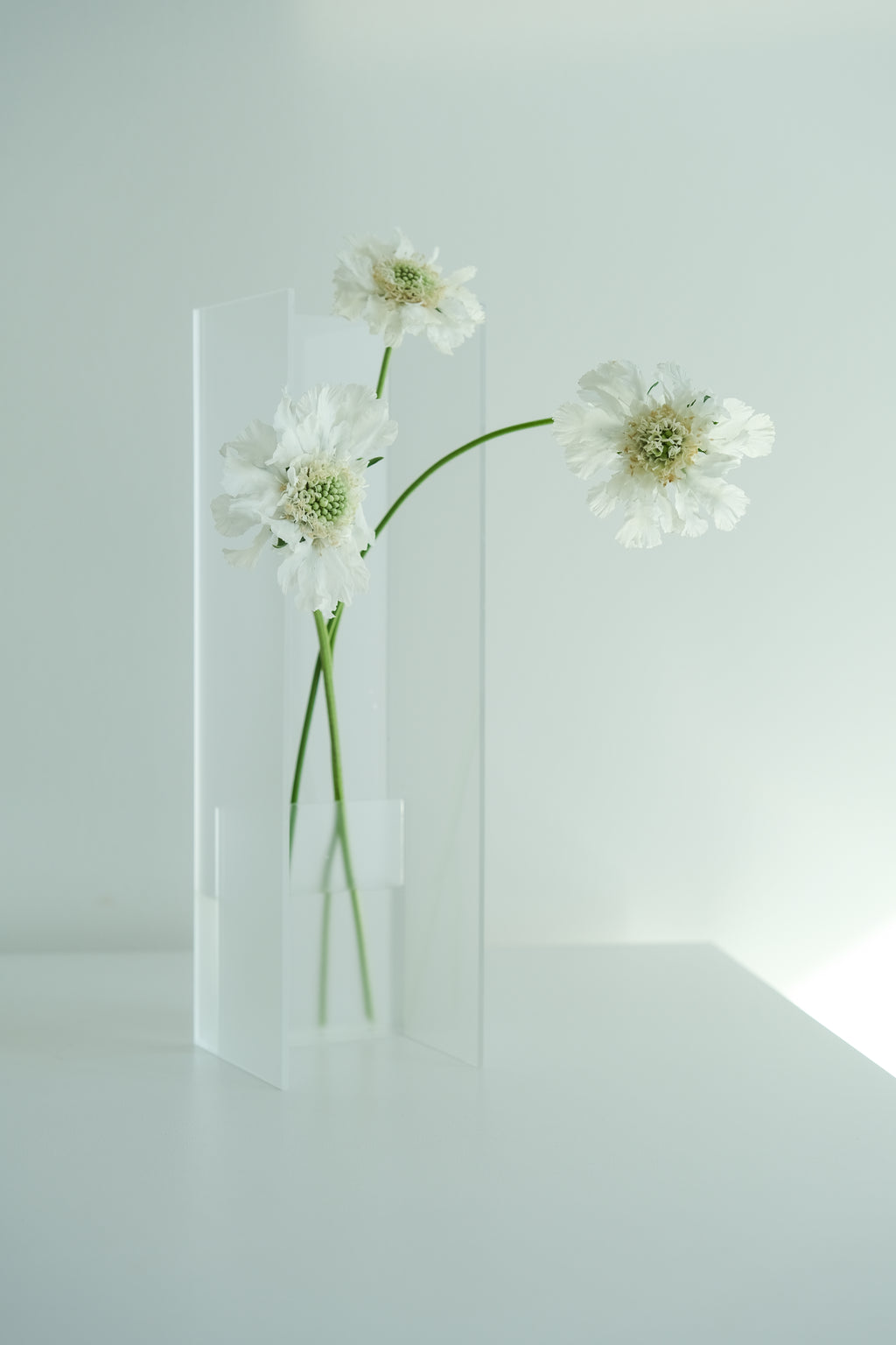 Nook Vase - Frost