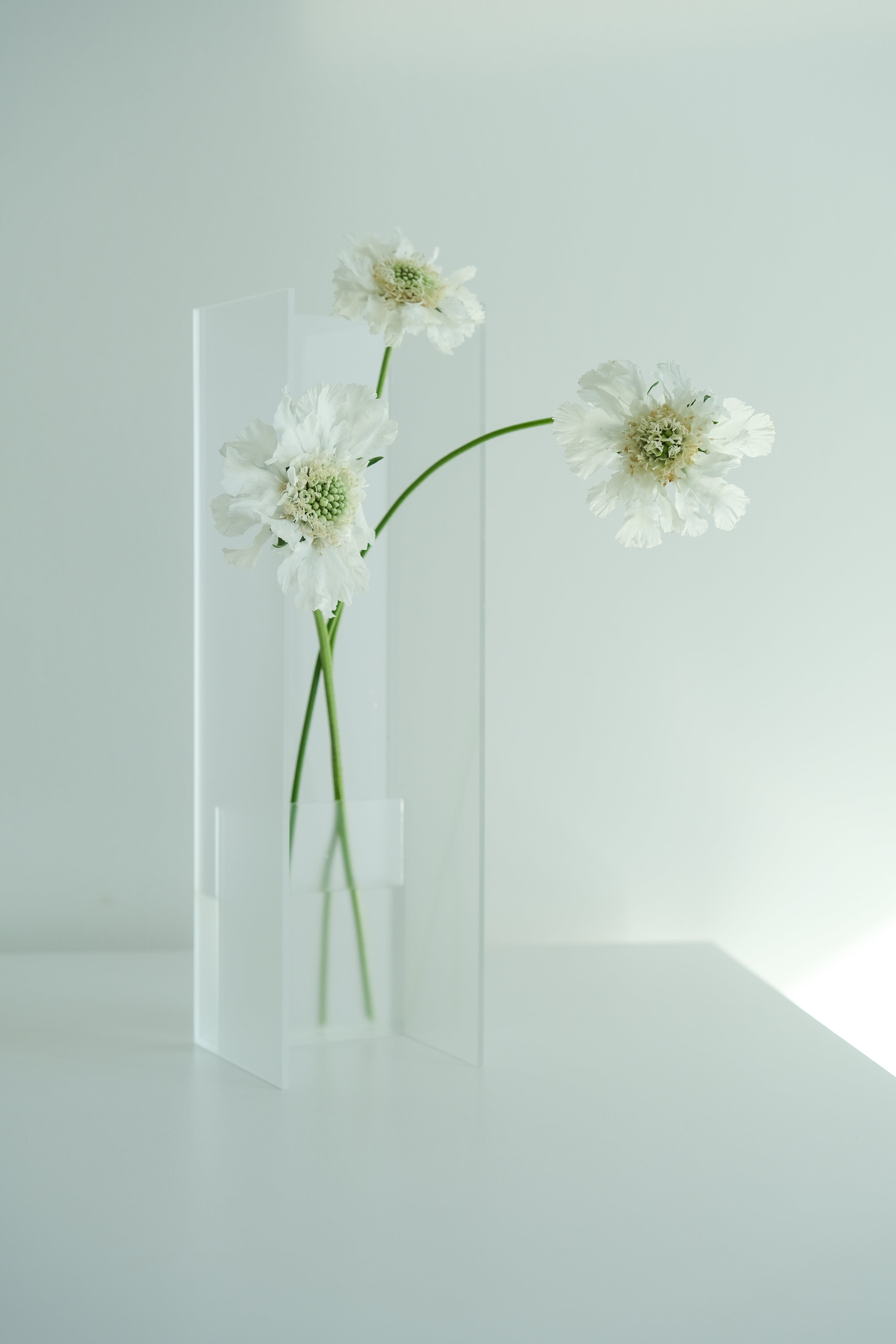 Nook Vase - Frost
