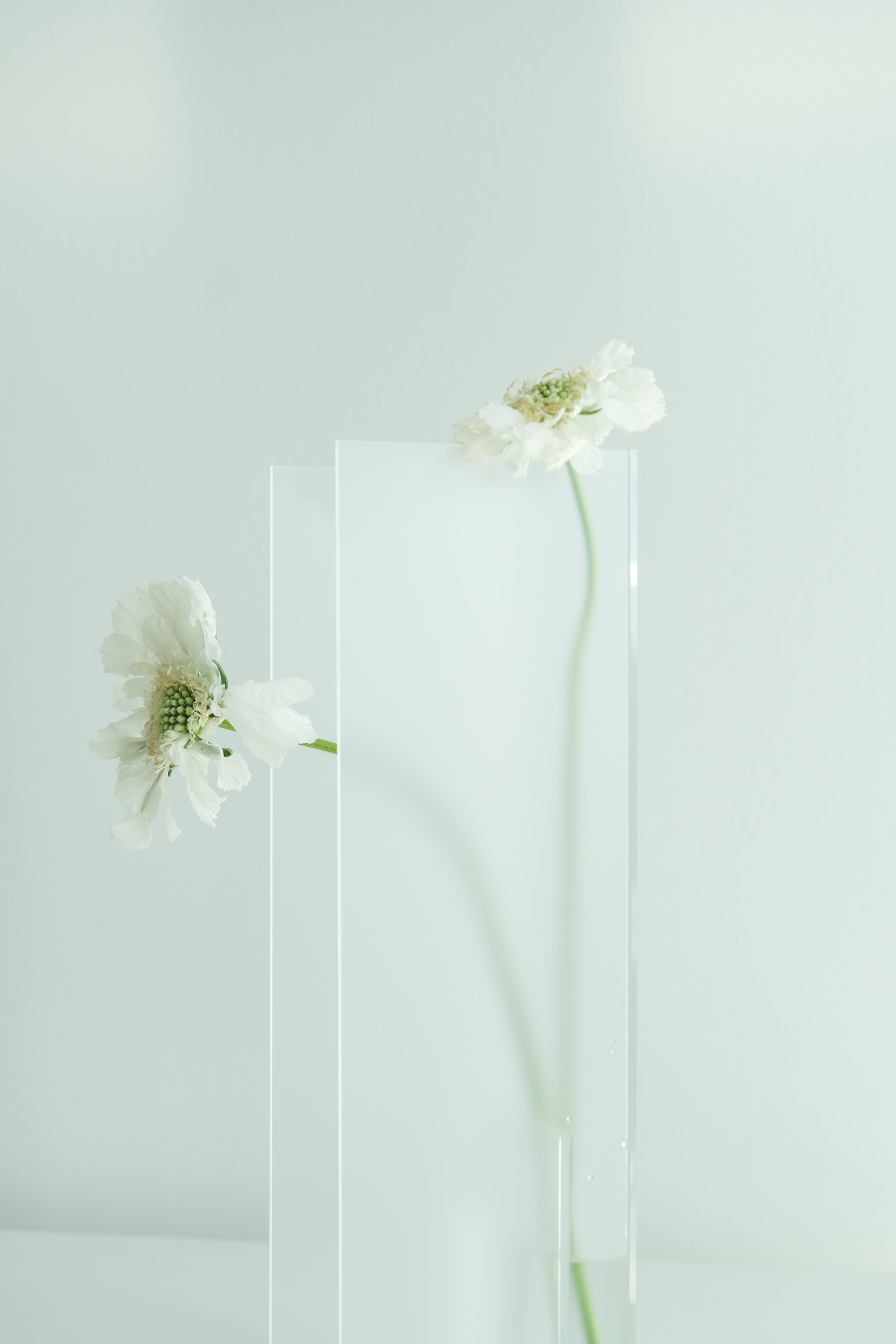 Nook Vase - Frost