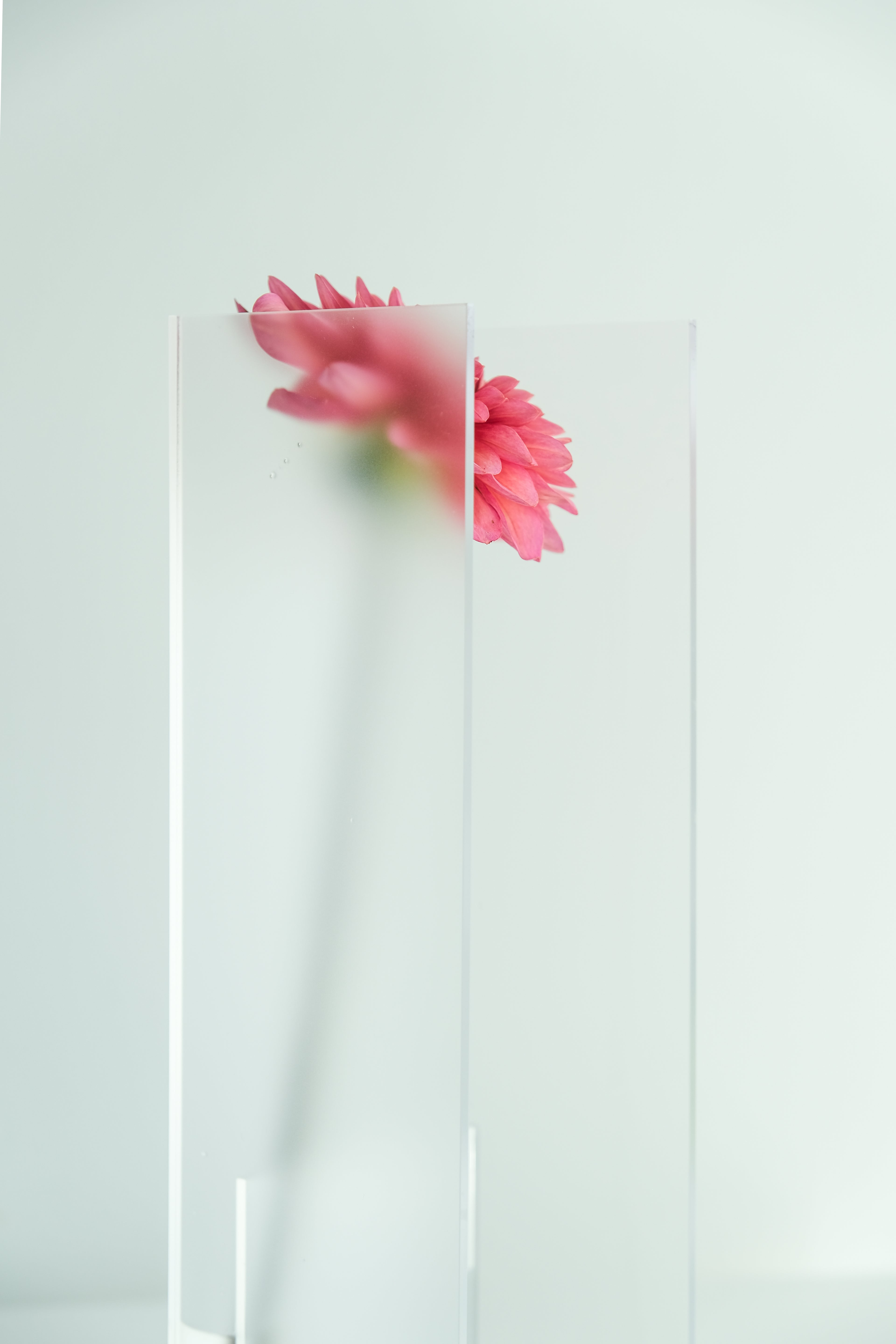 Nook Vase - Frost